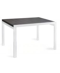 Tavolo City allungabile in larice Grigio Bianco 90x120/240 cm
