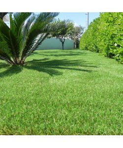 CCGrass Prato Artificiale Alta Qualit 1x4m 40mm - Perfetto per Esterni