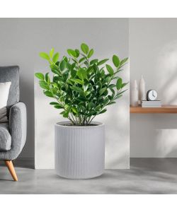 Divina Garden Vaso Cilindrico Modigliani in Resina Beige D.36x35 cm