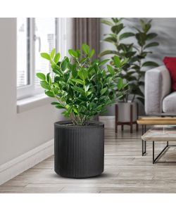 Divina Garden Vaso Cilindrico Modigliani Resina Antracite D.36x35 cm