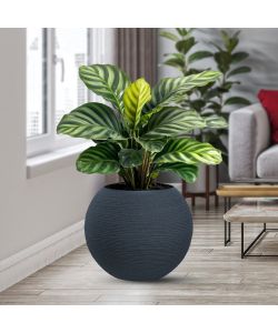 Divina Garden Vaso a Sfera Botticelli in Resina Antracite d.40x33 cm