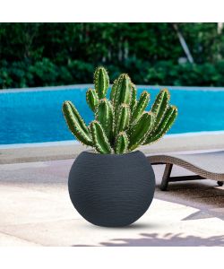 Divina Garden Vaso a Sfera Botticelli in Resina Antracite d.40x33 cm