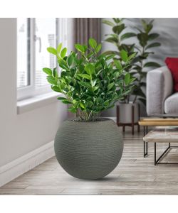 Divina Garden Vaso Tondo a Sfera Botticelli in Resina Verde d.40x33 cm