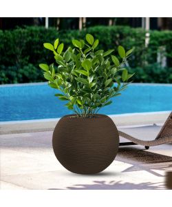 Divina Garden Vaso a Sfera Botticelli in Resina Marrone d.40x33 cm