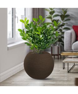 Divina Garden Vaso a Sfera Botticelli in Resina Marrone d.40x33 cm