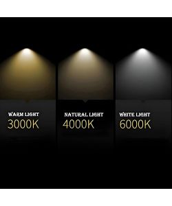 Divina Home Specchio da Bagno Olivia Ovale Retroilluminato 50x90 cm