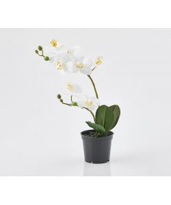 Orchidea artificiale bianca 33 cm