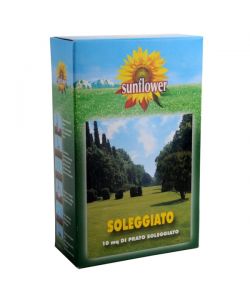 Sementi Prato Soleggiato   Kg 0,25       Sunflower