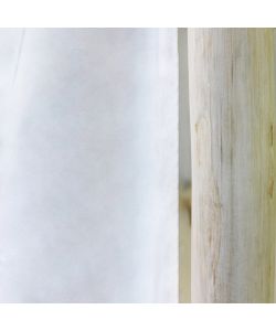 Cosma Gazebo Letto Bianco in Teak 250x180x204 cm Stile Orientale
