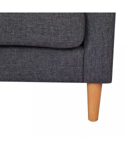 Cosma Divano 3 Posti in Tessuto Grigio Scuro 180x73x82 cm per Soggiorno