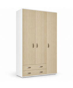 Armadio Monza 3 Ante e 2 Cassetti Bianco Olmo - 120x52x207 cm