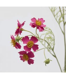 EDG Cosmos Ramo con Foglie H 65 cm Pianta Artificiale Fucsia Decorativa