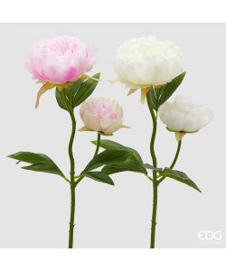 EDG Ramo Decorativo Peonia X2 con Foglie 55 cm White Pink Assortiti
