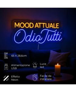 Insegna Luminosa Odio tutti - LED Neon Multicolore 65x28,6 cm