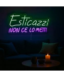 Insegna Luminosa - Esticazzi - LED Neon Multicolore 65x28,6 cm