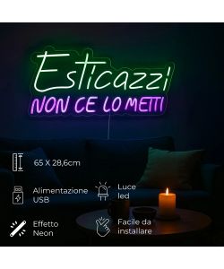 Insegna Luminosa - Esticazzi - LED Neon Multicolore 65x28,6 cm