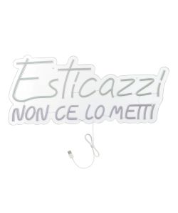 Insegna Luminosa - Esticazzi - LED Neon Multicolore 65x28,6 cm