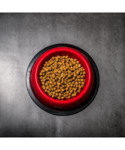Ajo Crocchette per Cani Adulti Light 4kg Controllo Peso Omega 3 6