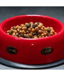 Dogo Crocchette per Cani Attivi Mix Activity 17kg Alimento Secco Carne Suino