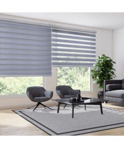 STORPLANET Tenda a rullo giorno/notte argento 60x250 cm per interni