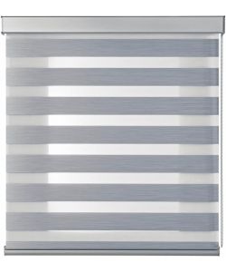 STOR PLANET Tenda a Rullo Giorno e Notte Argento 120x250cm Premium