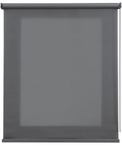 STOR PLANET Tenda a Rullo Filtrante Traslucida Grigio Koala 100x250 cm