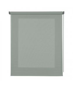 STOR PLANET Tenda a Rullo Traslucida Eucalipto 100x250cm per Interni