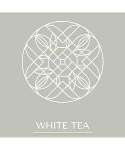 Tescoma Ricarica Diffusore per Essenze - T� Bianco - 500 ml