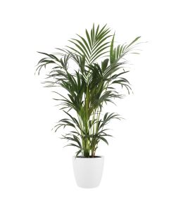 Elho Vaso Brussels - Bianco -  22 cm