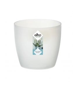 Vaso Brussels Orchid 12,5cm
