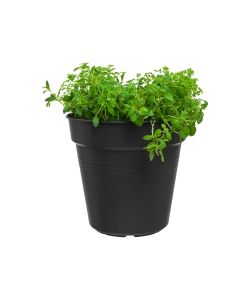 Elho Vaso da Esterno Growpot - Nero - 24 cm