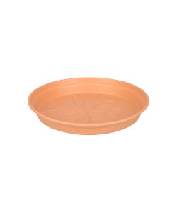 Sottovaso  10 cm Terra