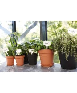 Elho Sottovaso da Giardino - Nero -  25 cm