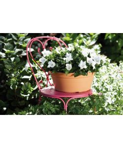 Elho Vaso da Giardino Green Basics - Beige -  27 cm