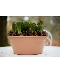 Elho Vaso da Giardino Green Basics - Beige -  27 cm