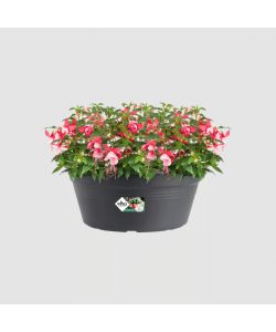 Elho Vaso Bowl � 38 cm Living Black - Ciotola da Giardino Rotonda