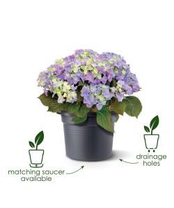 Elho Vaso Cilinder Rotondo 45 cm Living Black in Plastica Riciclata