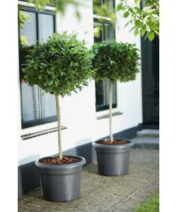 Elho Vaso Cilinder Rotondo 45 cm Living Black in Plastica Riciclata