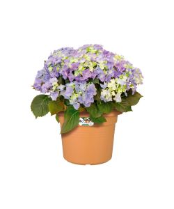 Elho Vaso Cilinder 45 cm Mild Terra per Esterno in Plastica Riciclata