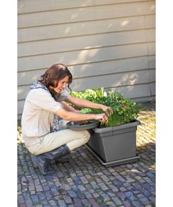 Elho Balconiera Extra Large Nero - Giardino e Terrazzo  80 cm