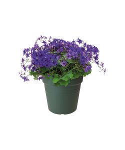 Vaso Growpot 30 cm Leaf Green