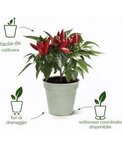 Elho Vaso Growpot 35 cm Leaf Green - Vaso da Coltivazione Moderno