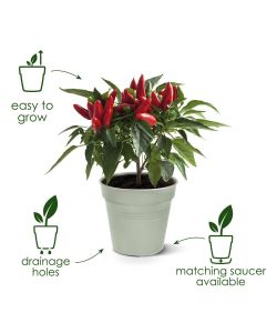 Elho Vaso Growpot Verde 40 cm - Vaso da Coltivazione per Piante e Fiori