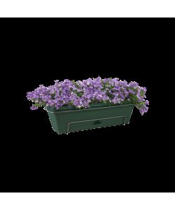 Balconiera basics trough allin1 70cm Verde