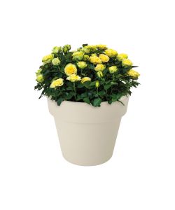Vaso Top Planter 23 cm Bianco
