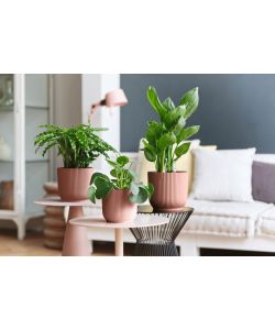 Elho Vibes Fold Round Vaso per Piante da Interno 16 cm Rosa Delicato