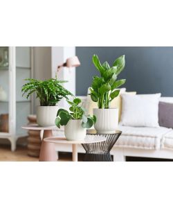 Elho Vibes Fold Vaso per Piante da Interno d.16 cm Bianco Silky