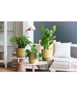 Elho Vibes Fold Vaso per Piante Giallo Burro d.16 cm Design Moderno