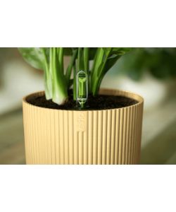 Elho Vibes Fold Vaso per Piante Giallo Burro d. 18 cm Design Moderno