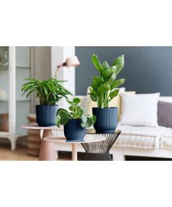 Elho Vibes Fold Vaso per Piante d. 22 cm Blu Profondo Design Moderno